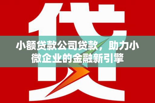 潼关小额贷款公司贷款，助力小微企业的金融新引擎