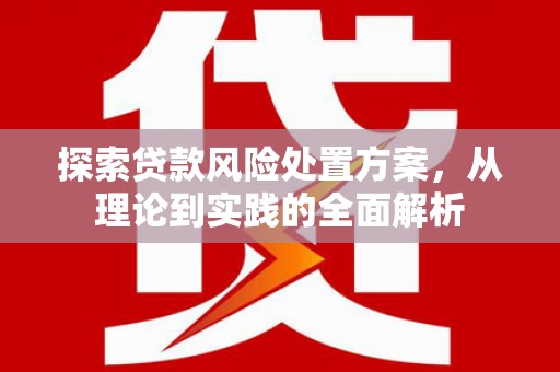 潼关探索贷款风险处置方案，从理论到实践的全面解析