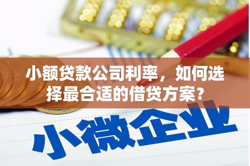 潼关小额贷款公司利率，如何选择最合适的借贷方案？