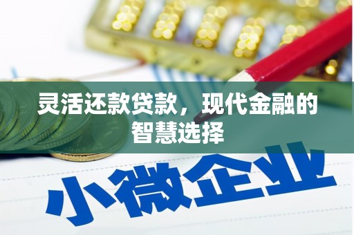 潼关灵活还款贷款，现代金融的智慧选择