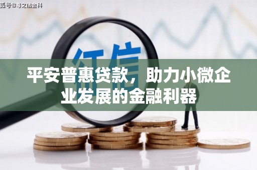 潼关平安普惠贷款，助力小微企业发展的金融利器