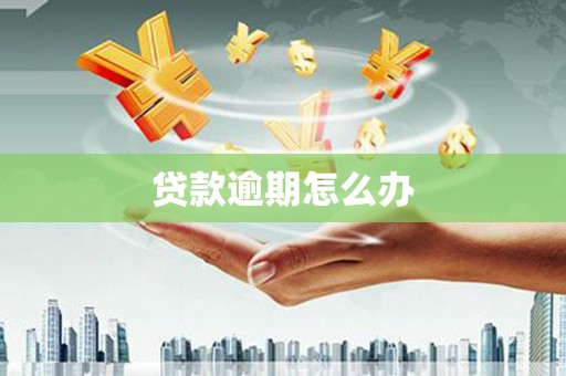 潼关贷款逾期怎么办