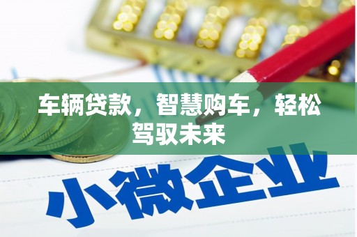 潼关车辆贷款，智慧购车，轻松驾驭未来