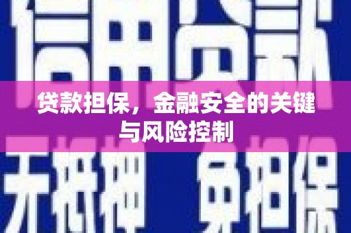 潼关贷款担保，金融安全的关键与风险控制