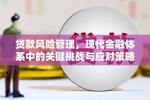 潼关贷款风险管理，现代金融体系中的关键挑战与应对策略