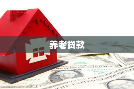 潼关养老贷款