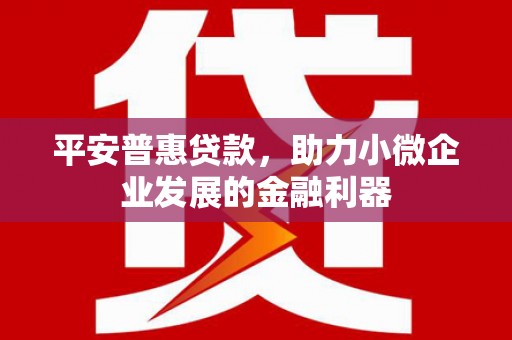 潼关平安普惠贷款，助力小微企业发展的金融利器