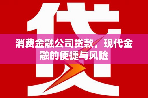 潼关消费金融公司贷款，现代金融的便捷与风险