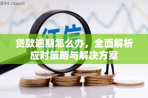 潼关贷款逾期怎么办，全面解析应对策略与解决方案
