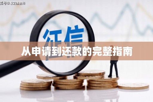 潼关从申请到还款的完整指南