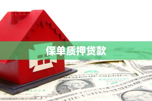 潼关保单质押贷款