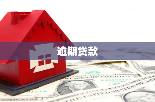 潼关逾期贷款