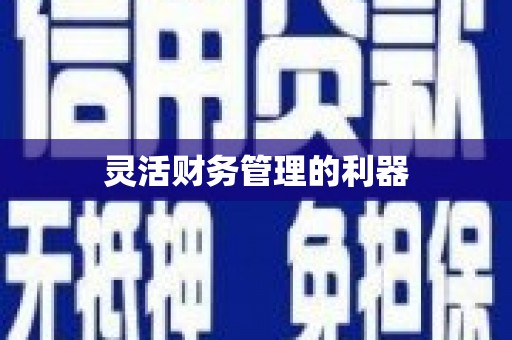 潼关灵活财务管理的利器