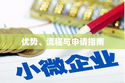 潼关优势、流程与申请指南
