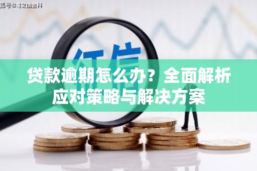 潼关贷款逾期怎么办？全面解析应对策略与解决方案