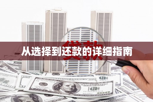 潼关从选择到还款的详细指南