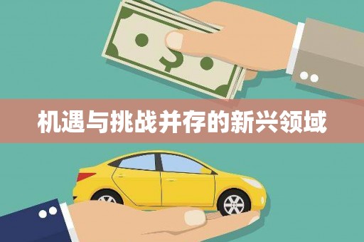 潼关机遇与挑战并存的新兴领域