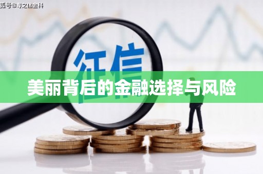 潼关美丽背后的金融选择与风险