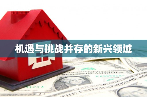 潼关机遇与挑战并存的新兴领域