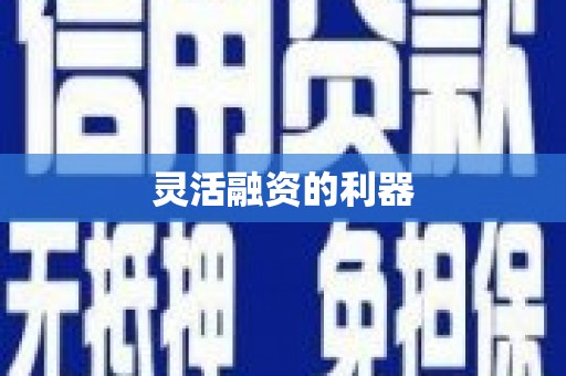 潼关灵活融资的利器