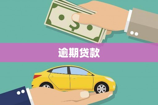 潼关逾期贷款