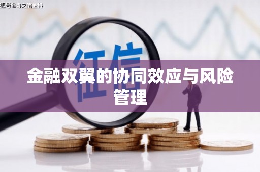 潼关金融双翼的协同效应与风险管理