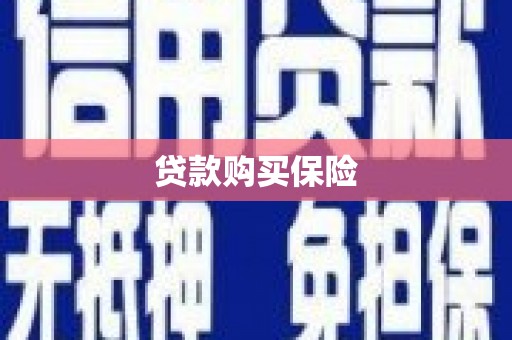 潼关贷款购买保险