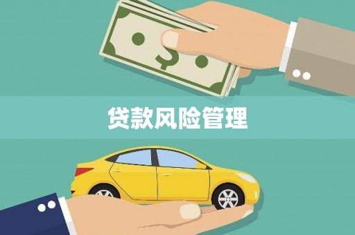 潼关贷款风险管理