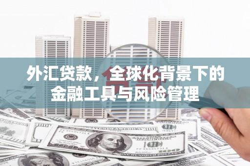 潼关外汇贷款，全球化背景下的金融工具与风险管理