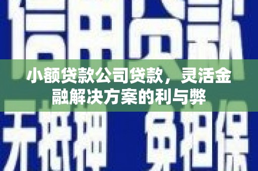 潼关小额贷款公司贷款，灵活金融解决方案的利与弊
