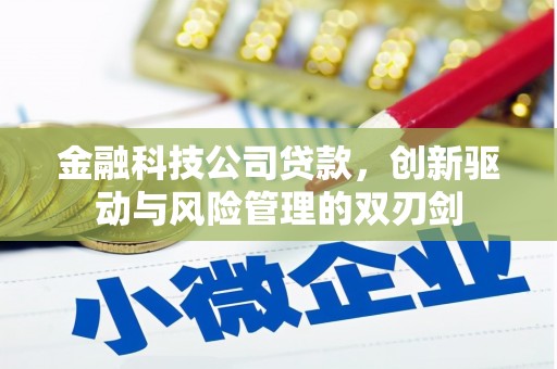 潼关金融科技公司贷款，创新驱动与风险管理的双刃剑